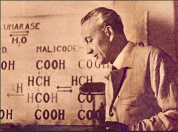 Albert Szent-Györgyi.