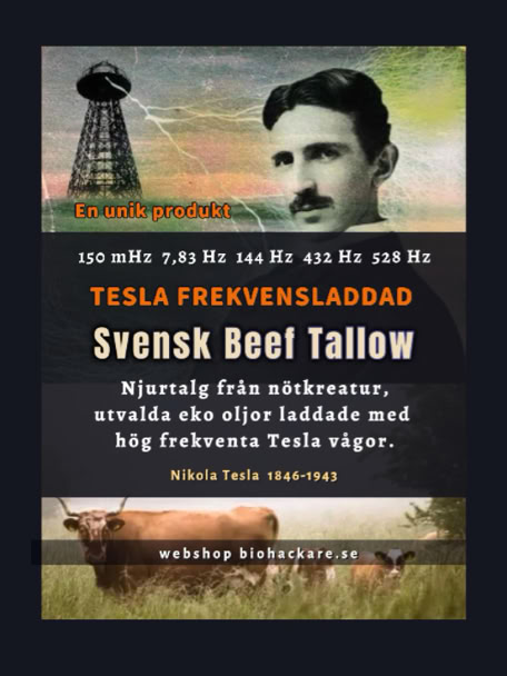 Beef Tallow med Tesla Frekvenser